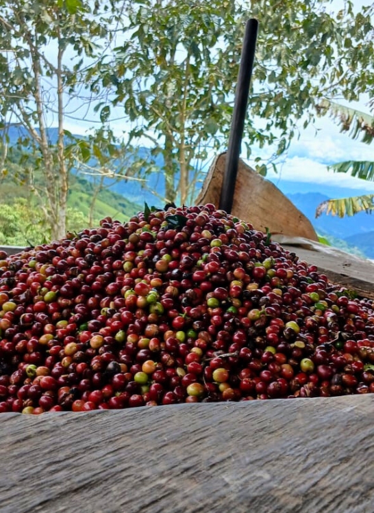 venta-de-cafe-colombia
