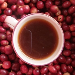 venta de cafe colombiano